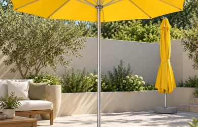 Ô chính tâm tán vàng mở hoàn chỉnh và một bộ gấp gọn phía sau trong sân