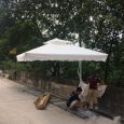 Ô lệch tâm tán trắng đặt cạnh đường trong khu vực có cây
