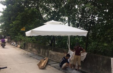 Ô lệch tâm tán trắng đặt cạnh đường trong khu vực có cây