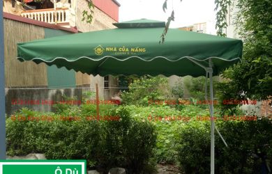 Ô lệch tâm tán xanh, trụ đặt bên cạnh trong sân có cây